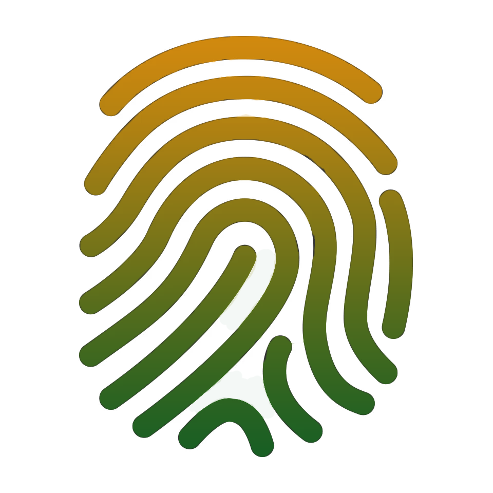 identidade visual-2 identidade visual-2